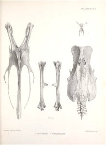 n172_w1150