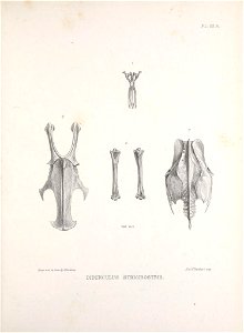 n214_w1150