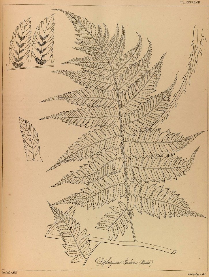n294_w1150