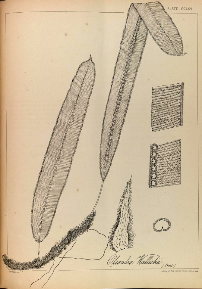 n170_w1150