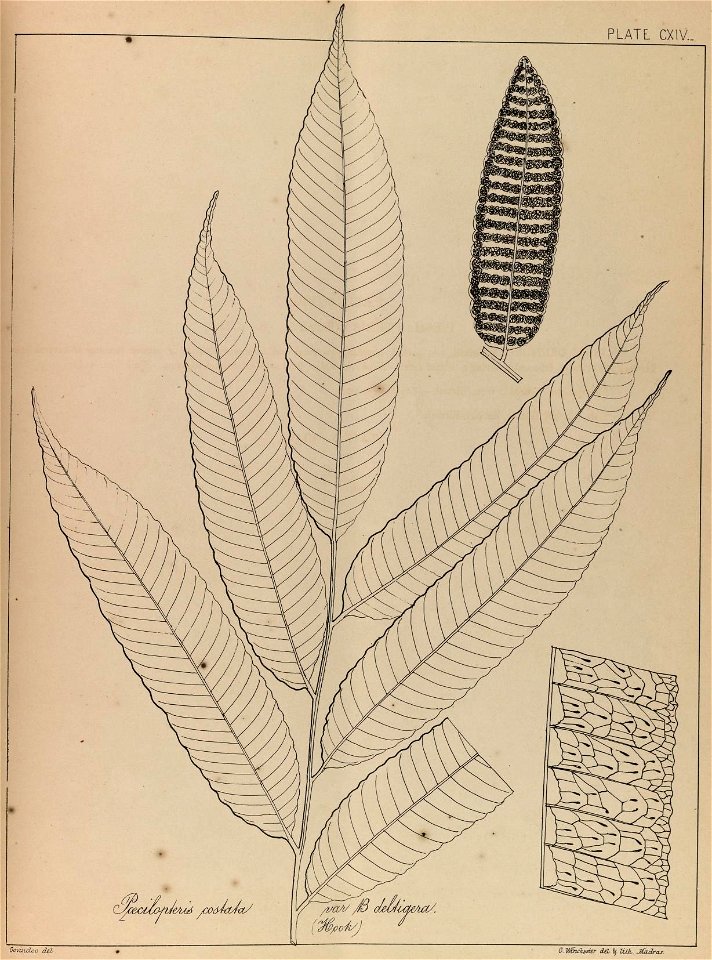 n228_w1150