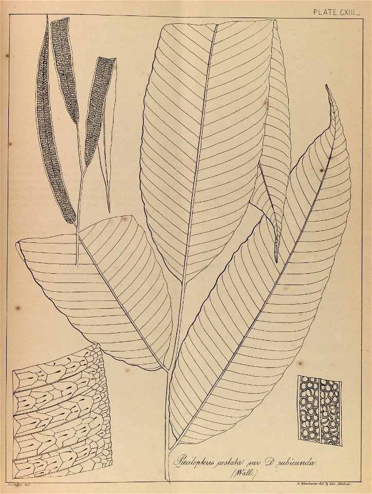 n226_w1150