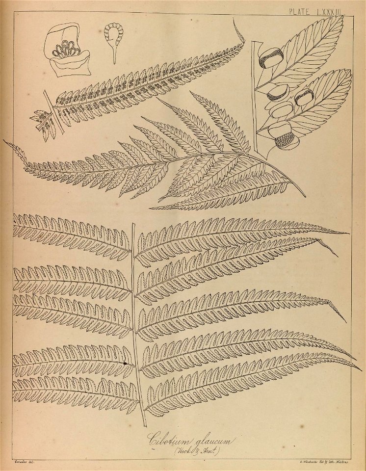 n166_w1150