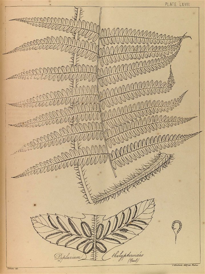 n136_w1150