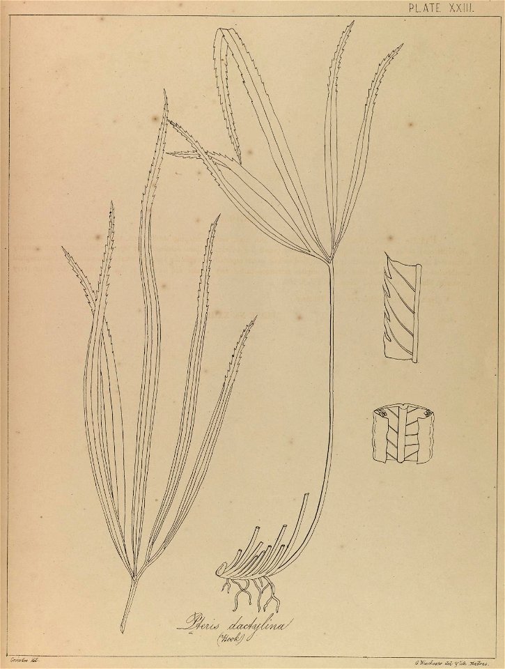 n46_w1150