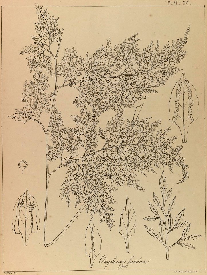 n42_w1150