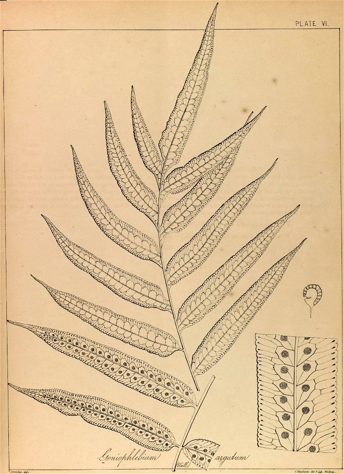 n12_w1150