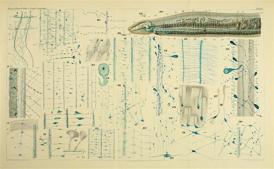 n106_w1150