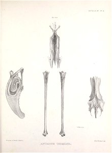 n184_w1150