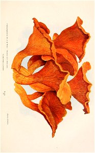 n178_w1150