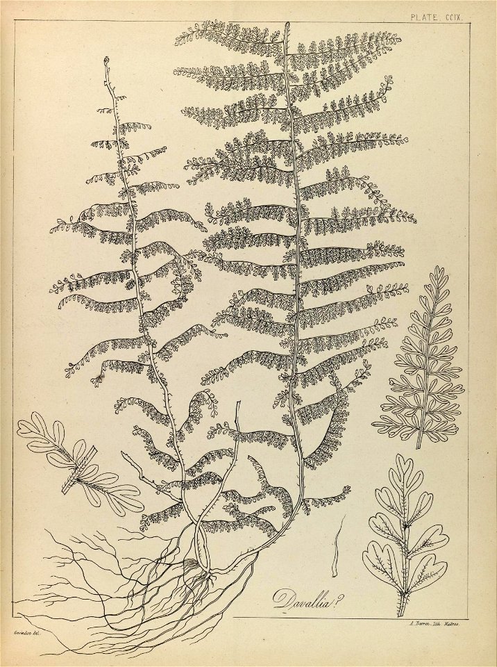 n58_w1150