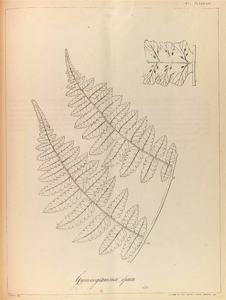 n116_w1150
