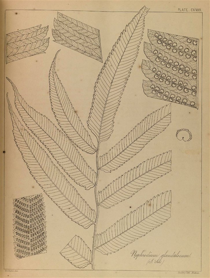 n264_w1150