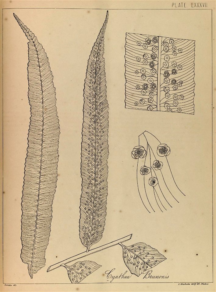 n174_w1150