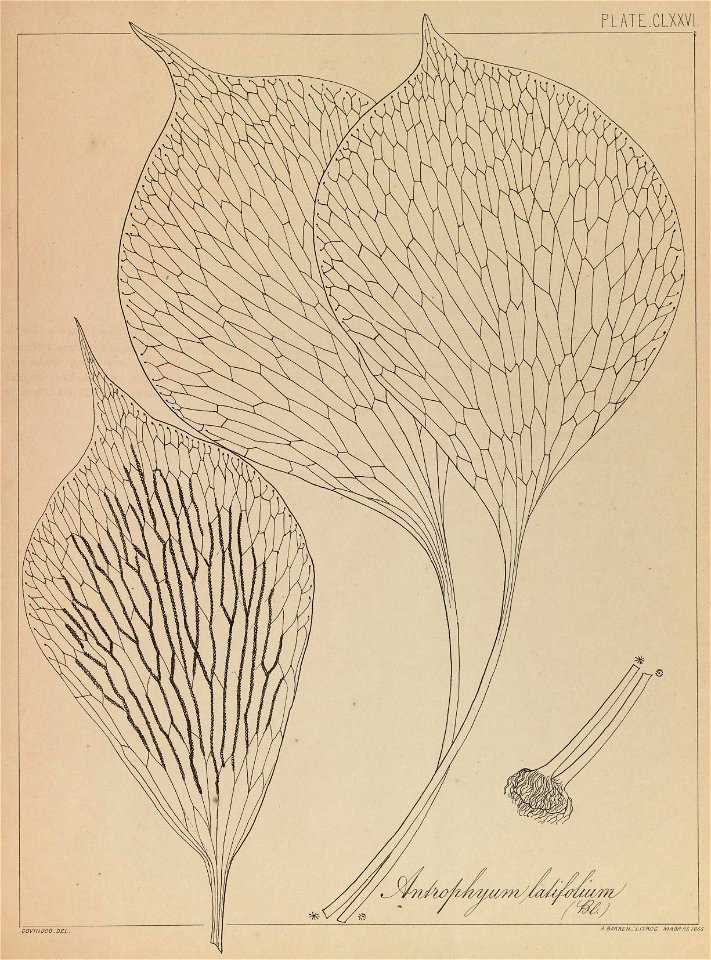 n352_w1150