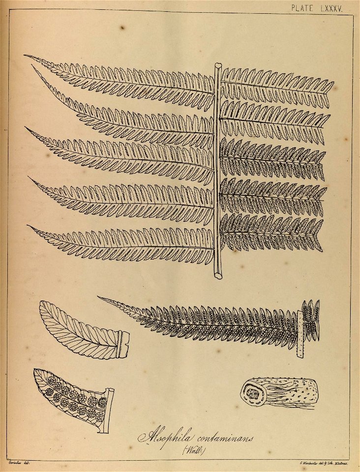 n170_w1150