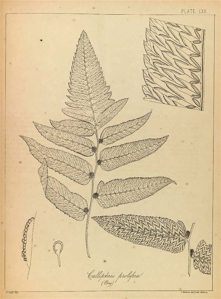n140_w1150