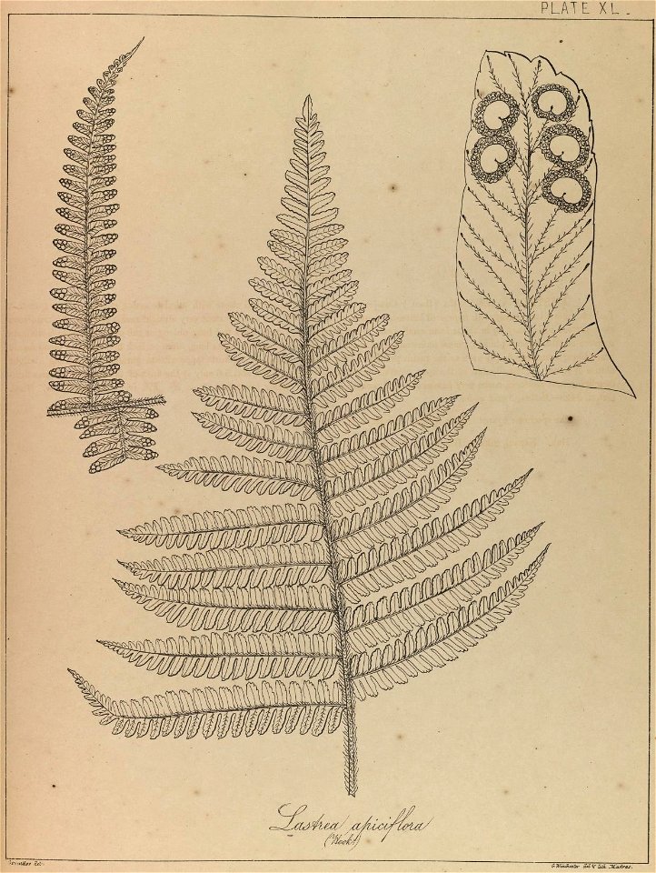 n80_w1150