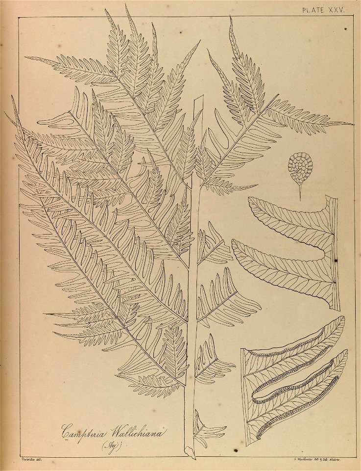 n50_w1150