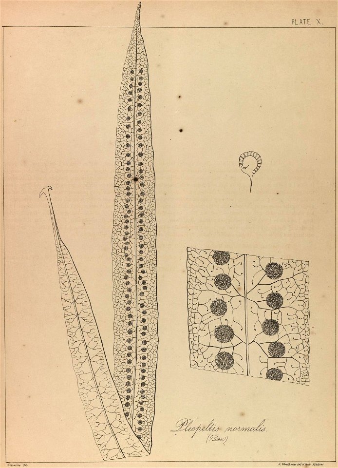 n20_w1150