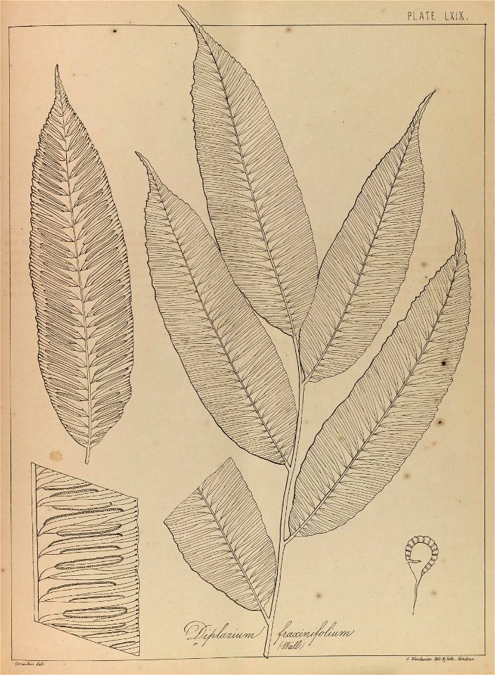 n138_w1150