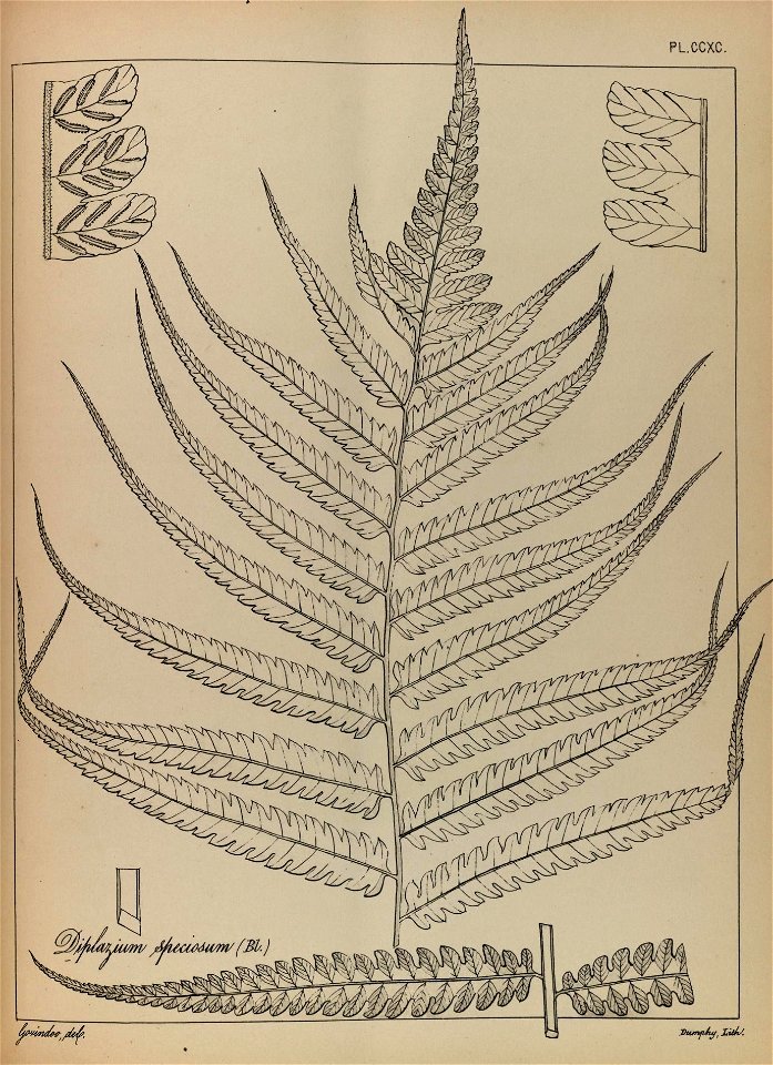n220_w1150