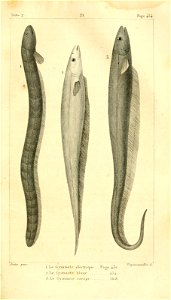 n502_w1150