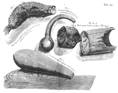 n576_w1150