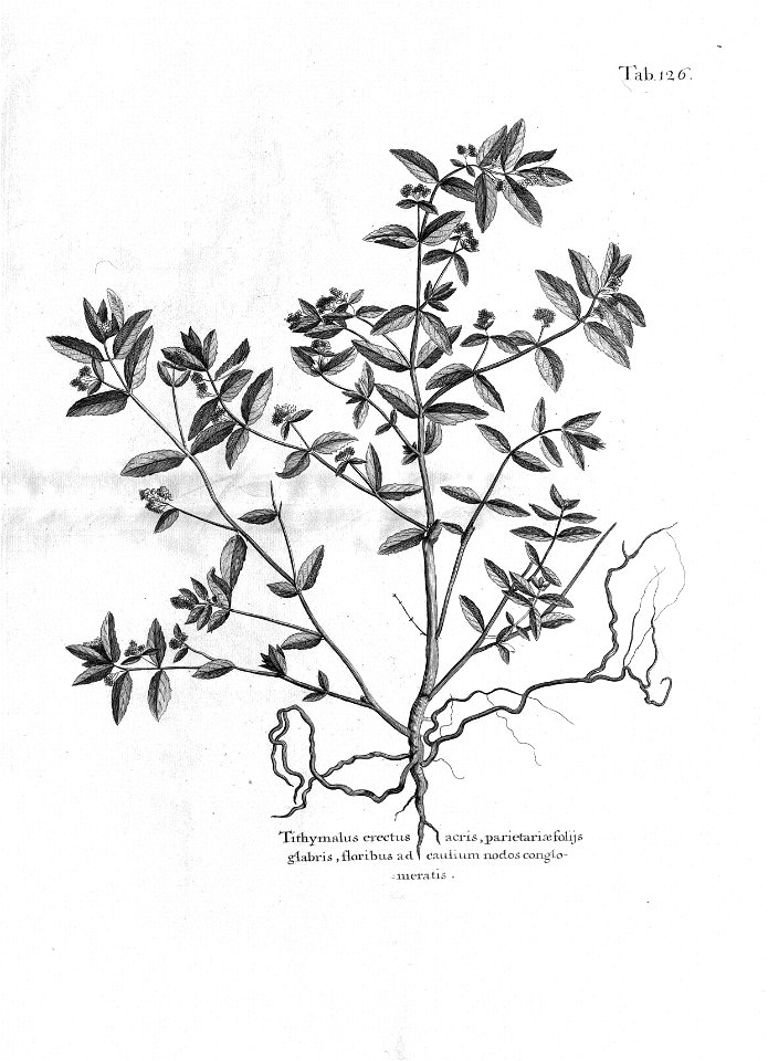 n561_w1150