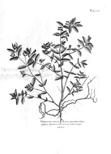 n561_w1150