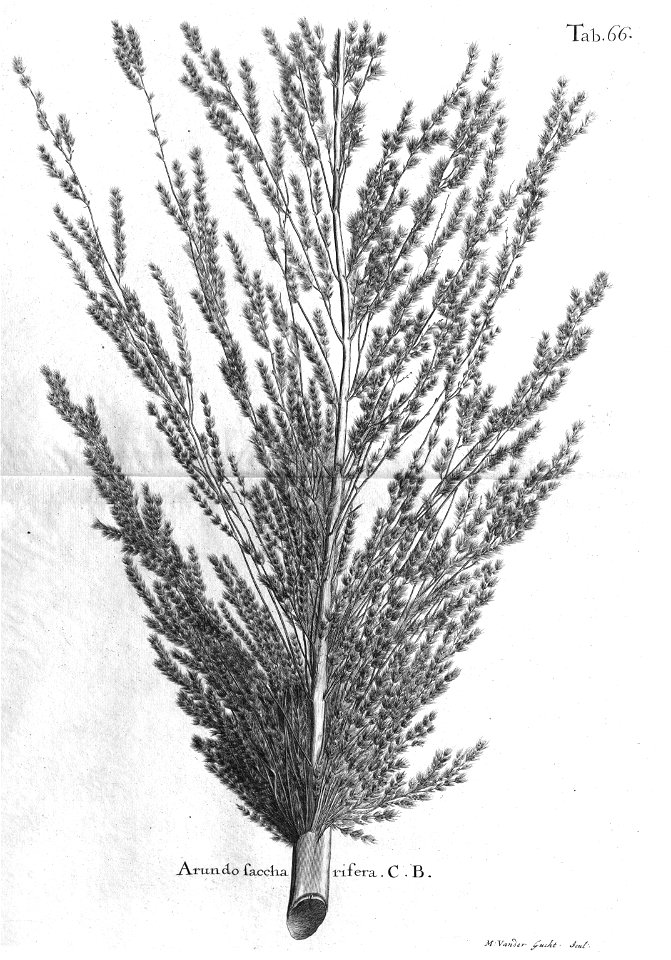 n501_w1150