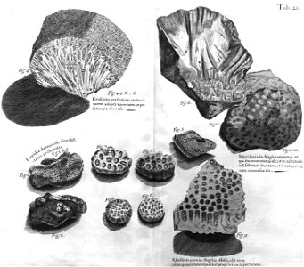 n456_w1150