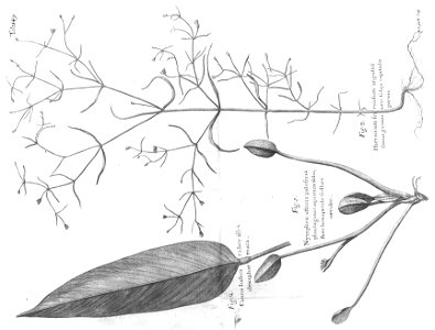 n584_w1150