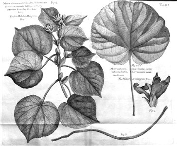 n569_w1150
