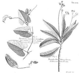 n539_w1150