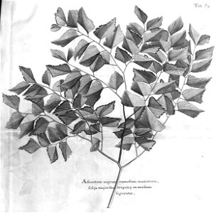 n494_w1150