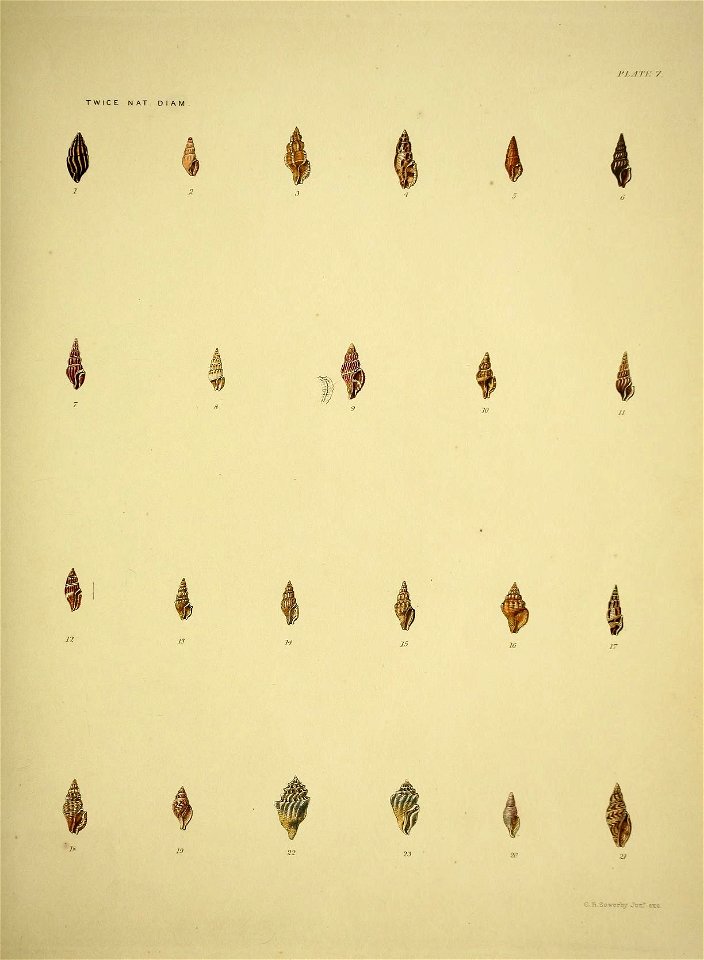 n112_w1150