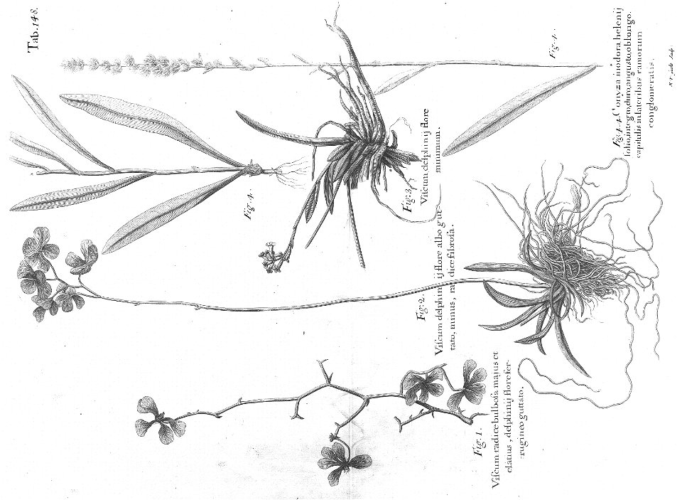n583_w1150