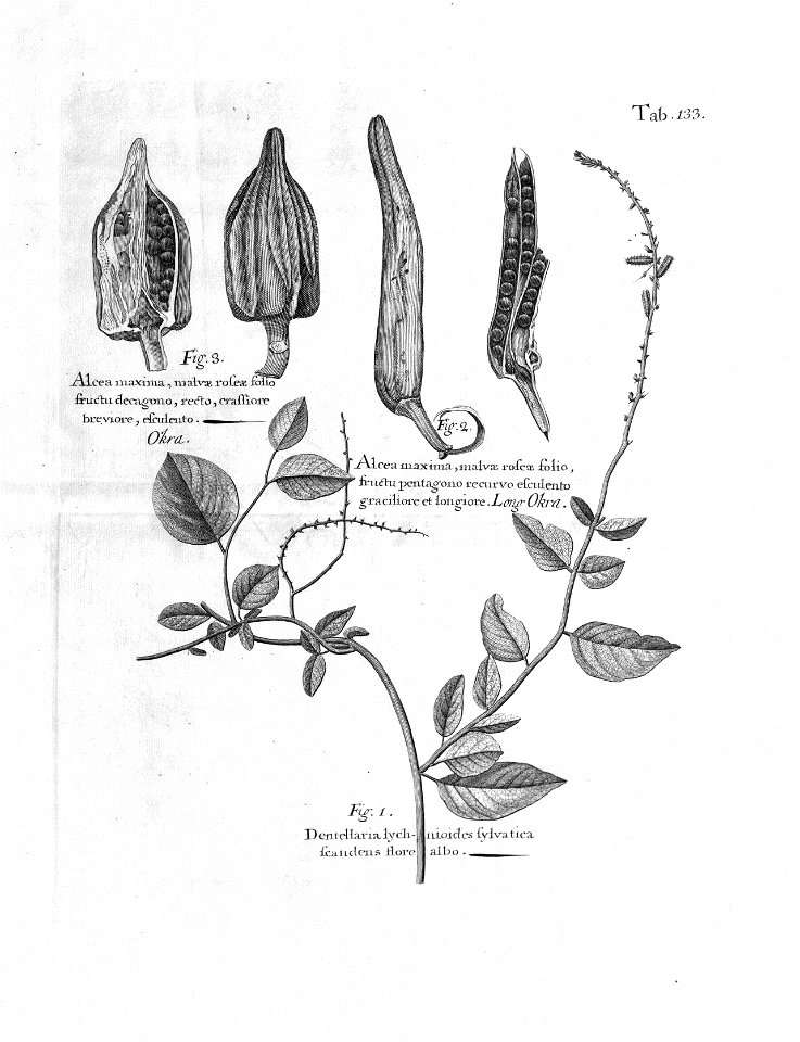 n568_w1150