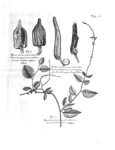 n568_w1150