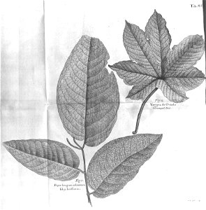 n523_w1150