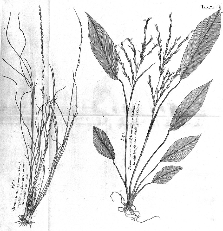 n508_w1150