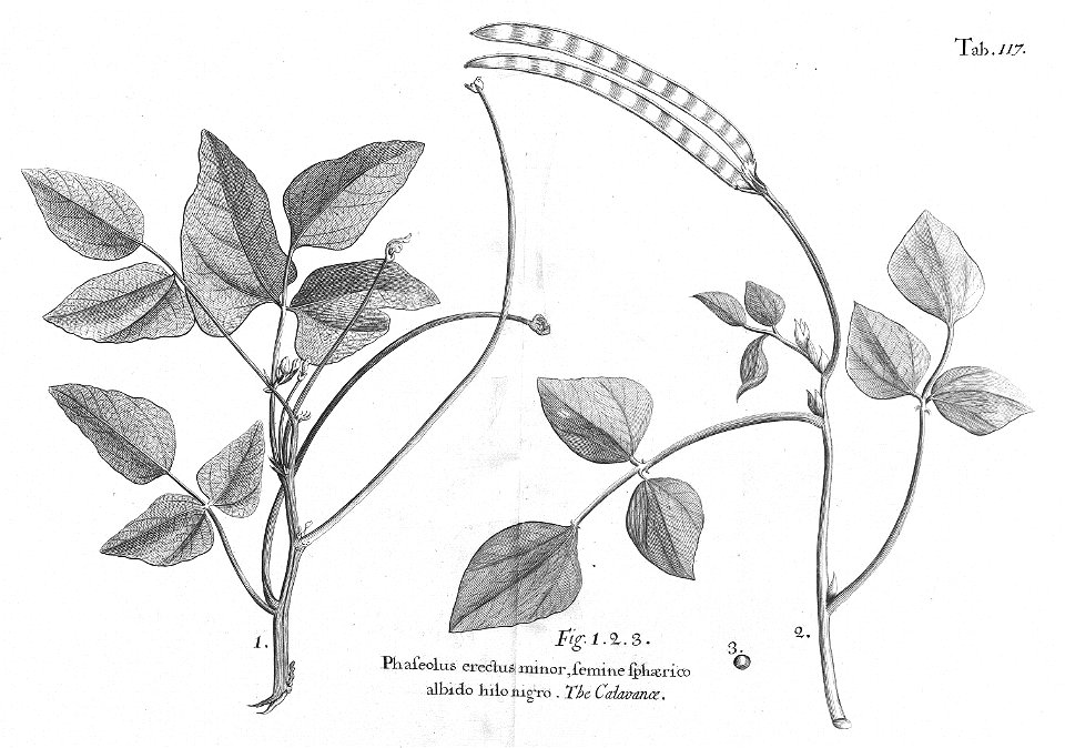 n552_w1150