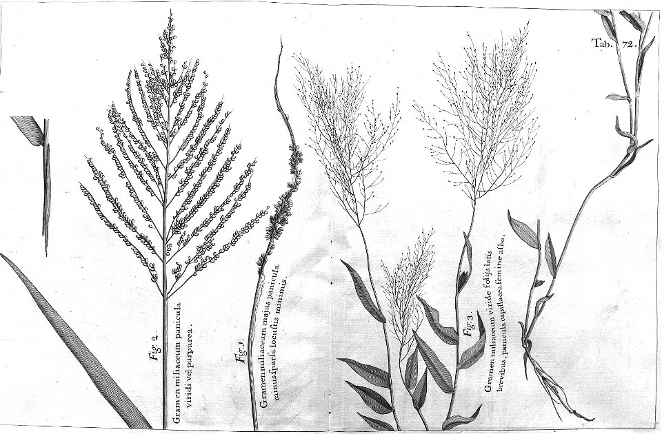 n507_w1150