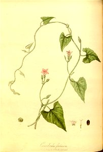 n95_w1150
