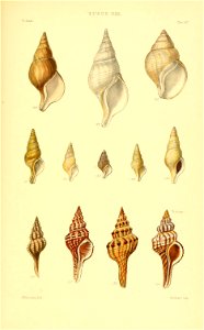 n528_w1150