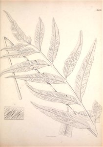 n172_w1150