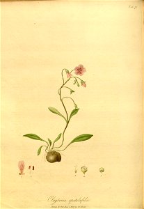 n159_w1150