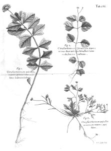 n590_w1150