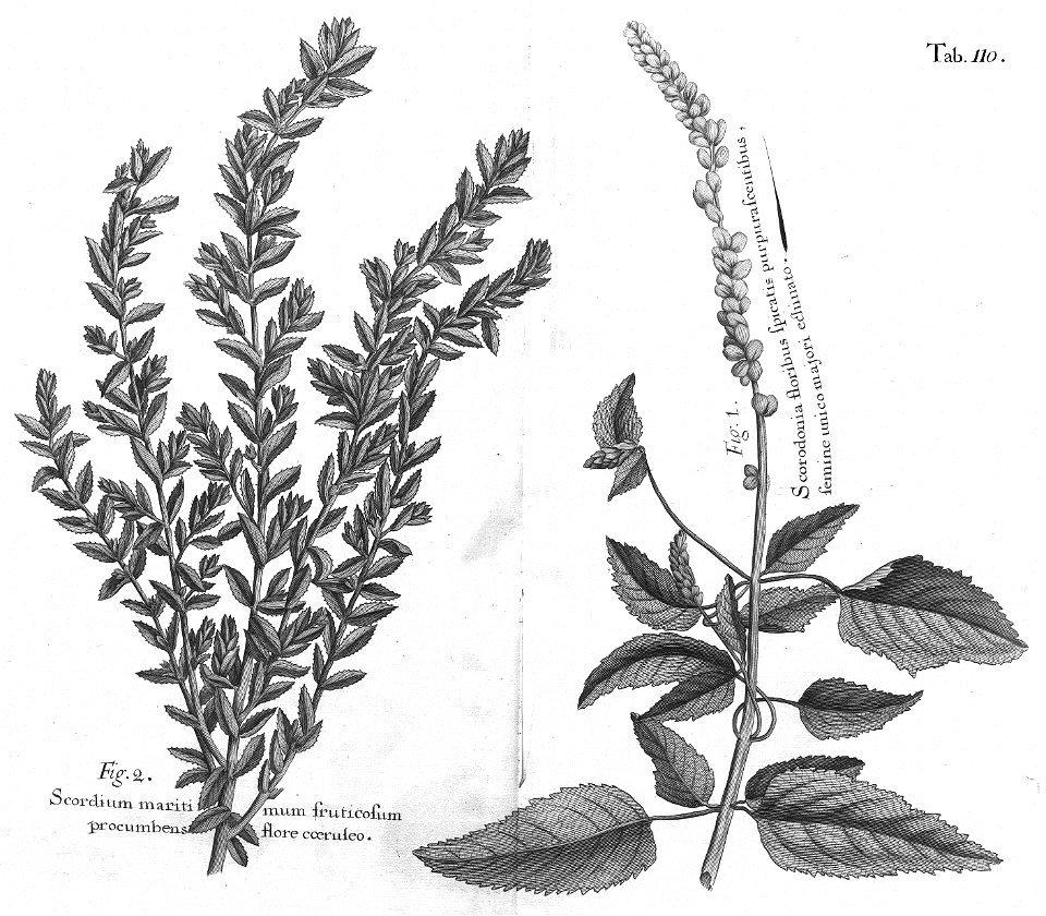 n545_w1150